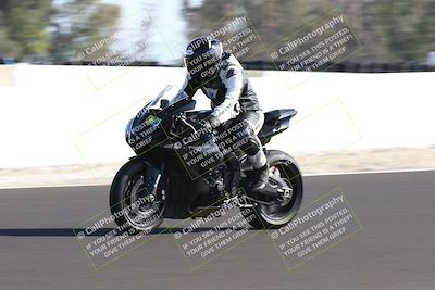 media/Feb-16-2025-TrackDaz (Sun) [[85eae43da9]]/C Group/140pm (Wheelie Dip)/